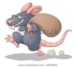 rat1